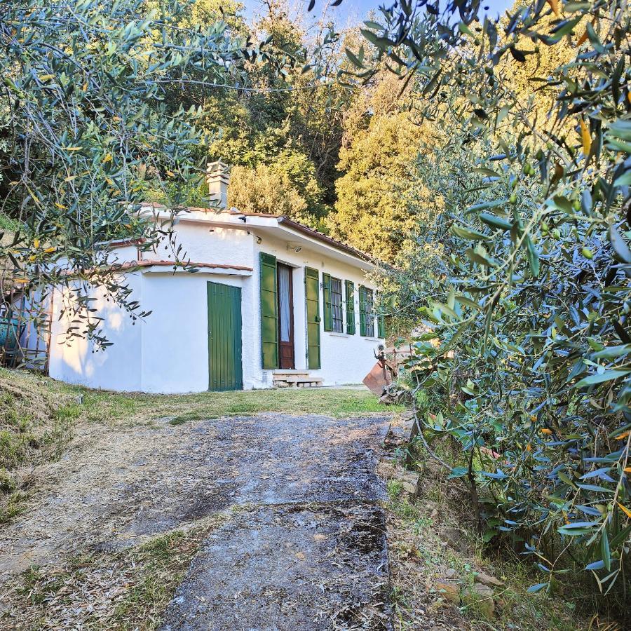 Massaciuccoli Romana Exterior foto