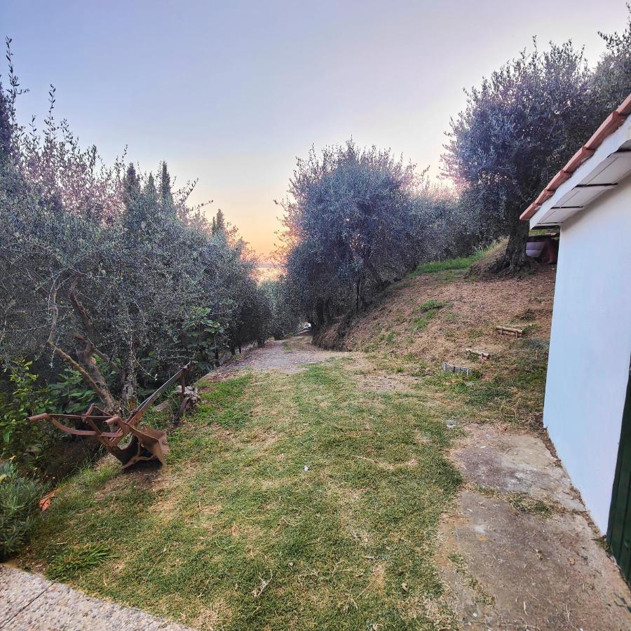 Massaciuccoli Romana Exterior foto
