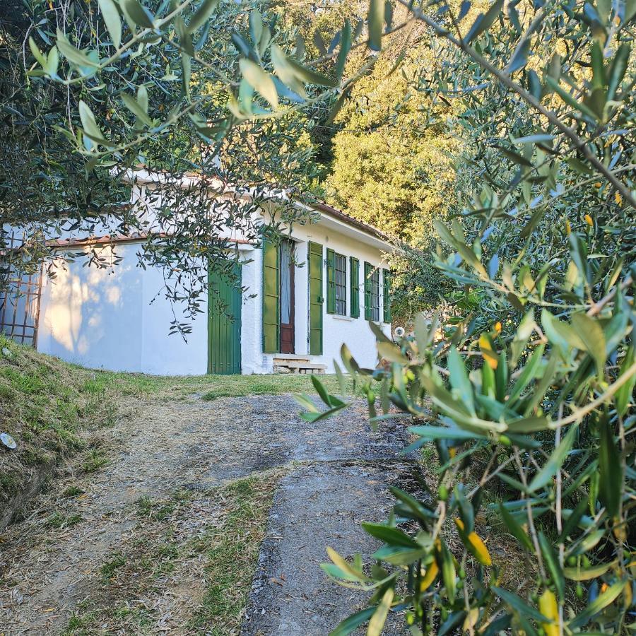 Massaciuccoli Romana Exterior foto