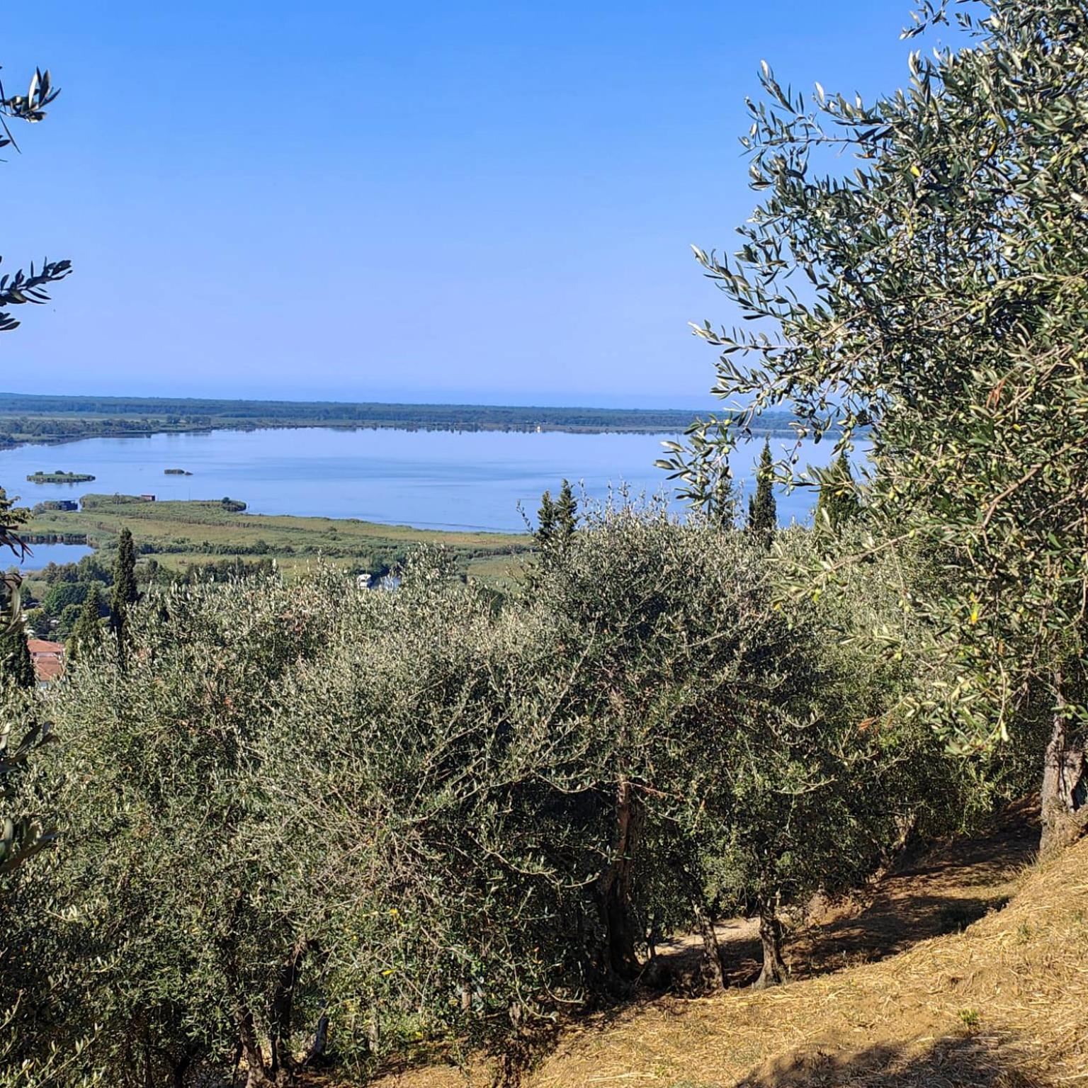 Massaciuccoli Romana Exterior foto